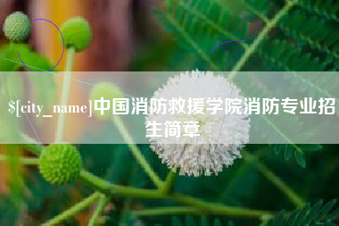 云梦中国消防救援学院消防专业招生简章