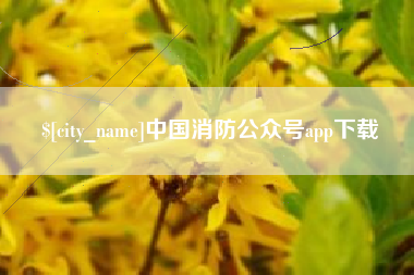 云梦中国消防公众号app下载
