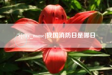 云梦我国消防日是哪日