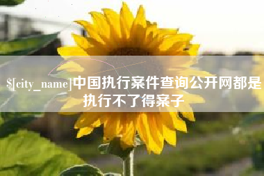 云梦中国执行案件查询公开网都是执行不了得案子