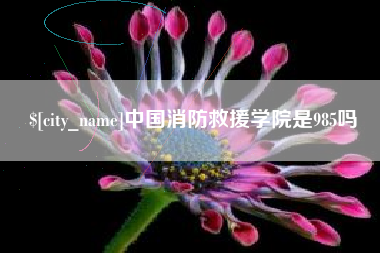 云梦中国消防救援学院是985吗