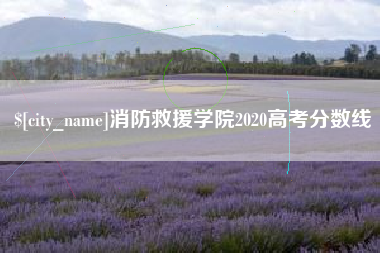 云梦消防救援学院2020高考分数线