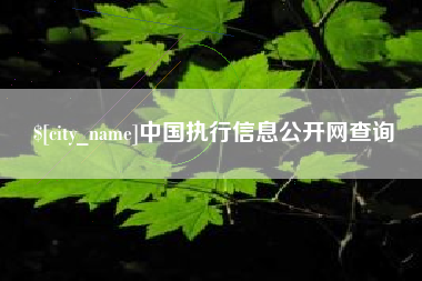 云梦中国执行信息公开网查询