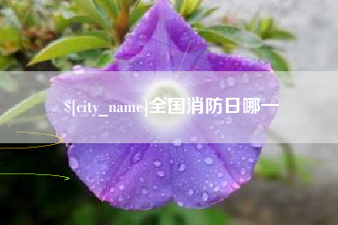 云梦全国消防日哪一