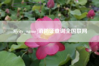云梦消防证查询全国联网