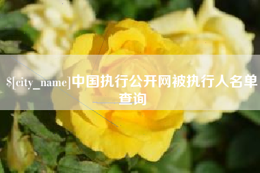 云梦中国执行公开网被执行人名单查询