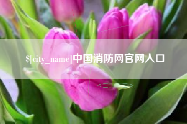 云梦中国消防网官网入口