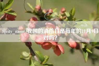 云梦我国的消防日是每年的11月9日对吗？