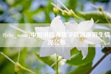 云梦中国消防救援学院湖南招生情况公布