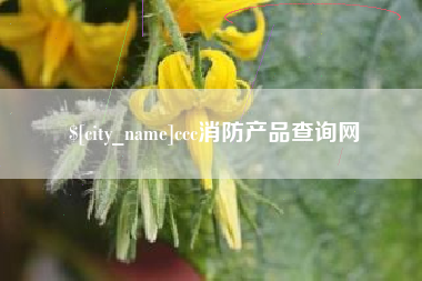 云梦ccc消防产品查询网