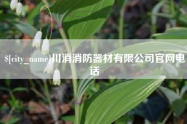 云梦川消消防器材有限公司官网电话