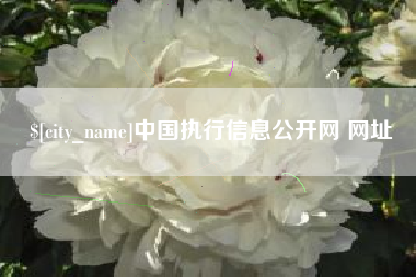 云梦中国执行信息公开网 网址