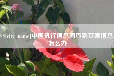 云梦中国执行信息网查到立案信息怎么办