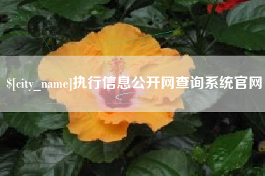 云梦执行信息公开网查询系统官网
