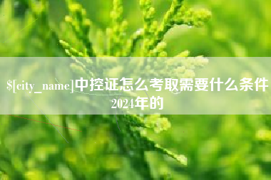 云梦中控证怎么考取需要什么条件2024年的