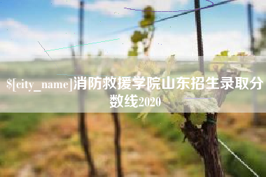 云梦消防救援学院山东招生录取分数线2020