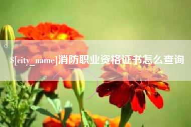 云梦消防职业资格证书怎么查询