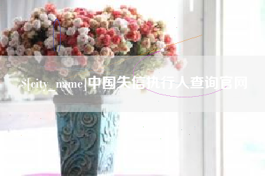 云梦中国失信执行人查询官网