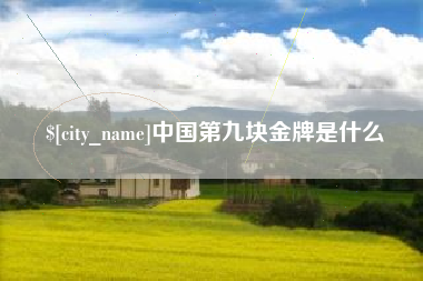 云梦中国第九块金牌是什么