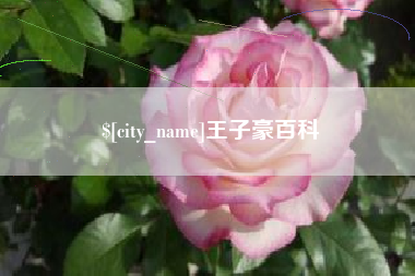 云梦王子豪百科