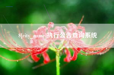 云梦执行公告查询系统