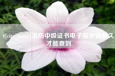 云梦消防中级证书电子版查询多久才能查到