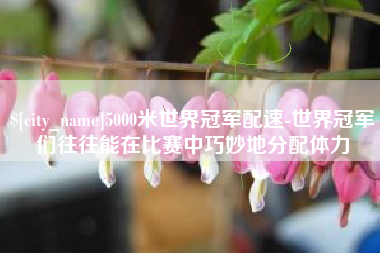 云梦5000米世界冠军配速-世界冠军们往往能在比赛中巧妙地分配体力