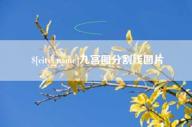 云梦九宫图分割线图片