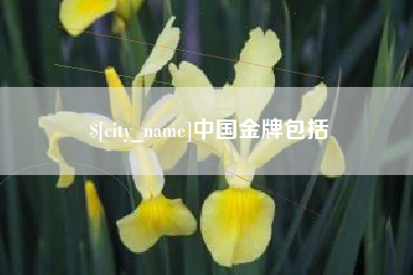云梦中国金牌包括