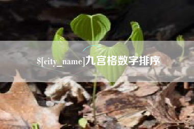 云梦九宫格数字排序