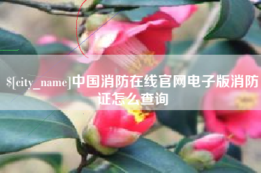云梦中国消防在线官网电子版消防证怎么查询