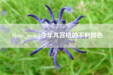 云梦今年九宫格的不利颜色