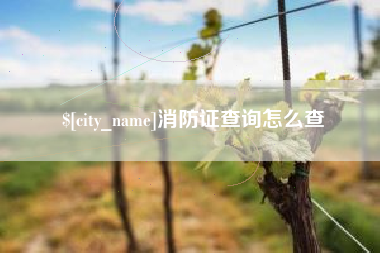 云梦消防证查询怎么查
