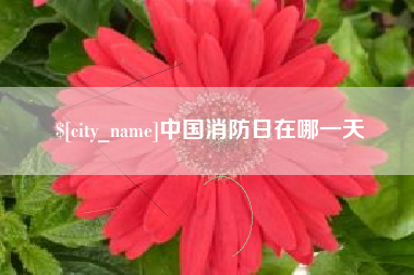 云梦中国消防日在哪一天