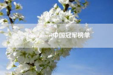 云梦中国冠军榜单