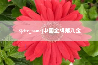云梦中国金牌第九金