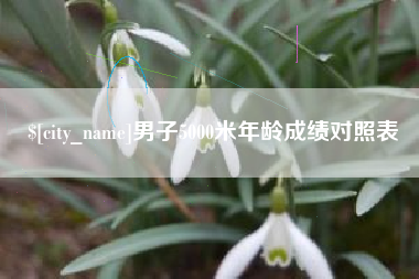 云梦男子5000米年龄成绩对照表