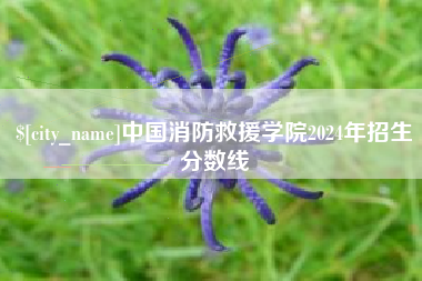 云梦中国消防救援学院2024年招生分数线