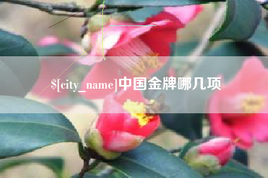 云梦中国金牌哪几项