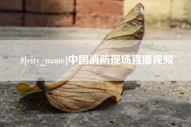 云梦中国消防现场直播视频