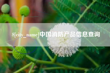 云梦中国消防产品信息查询