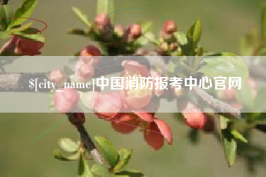 云梦中国消防报考中心官网