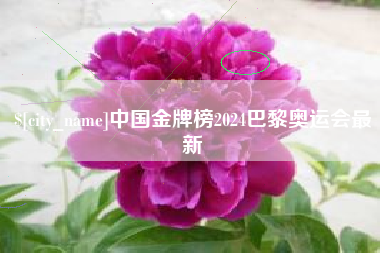 云梦中国金牌榜2024巴黎奥运会最新