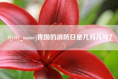 云梦我国的消防日是几月几号？