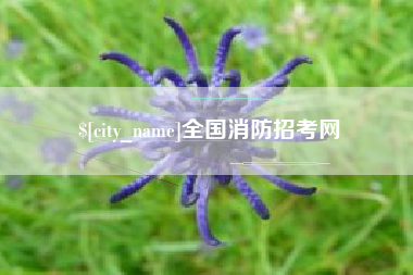 云梦全国消防招考网