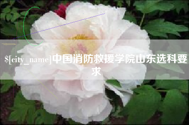 云梦中国消防救援学院山东选科要求