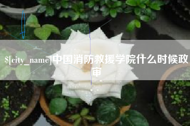 云梦中国消防救援学院什么时候政审