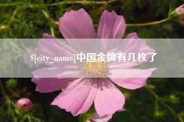 云梦中国金牌有几枚了