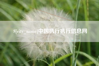 云梦中国执行执行信息网