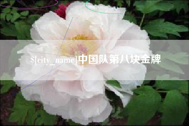 云梦中国队第八块金牌